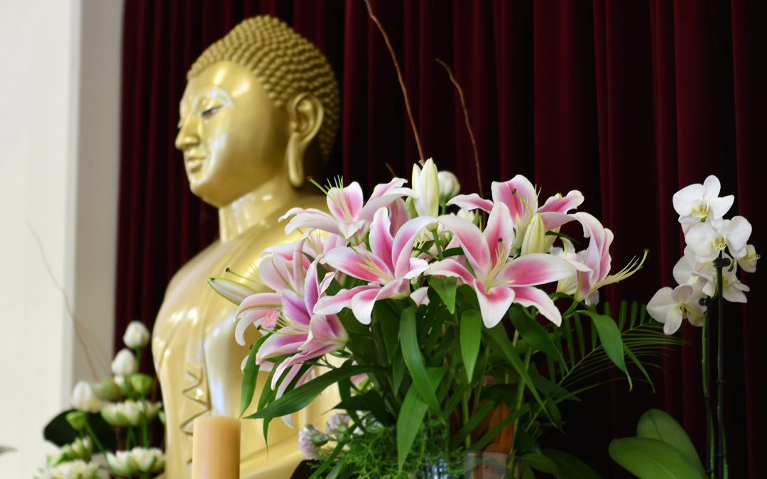 Dhamma: the Best Thing in Life