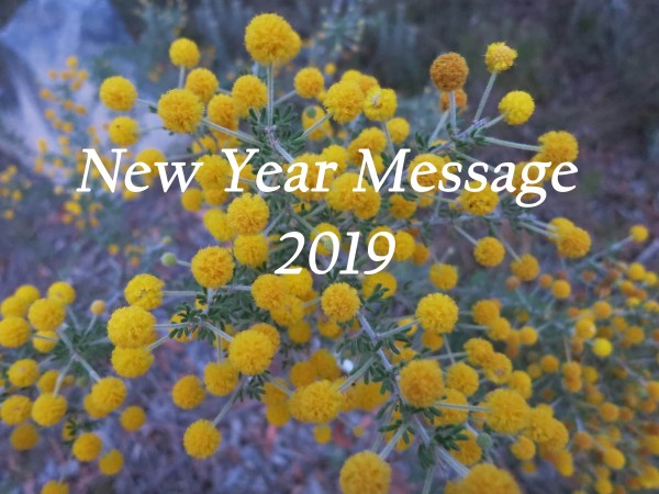 New Year Message 2019